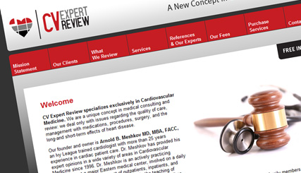 CV Expert Review | Medical Consulting Services Website