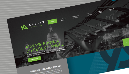 Anglin Consulting Group Website